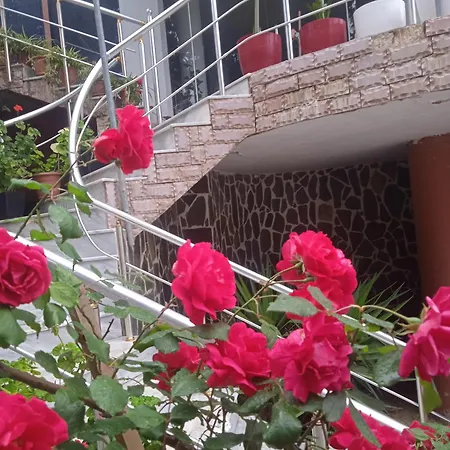Hotel Moris Kryemëdhej
